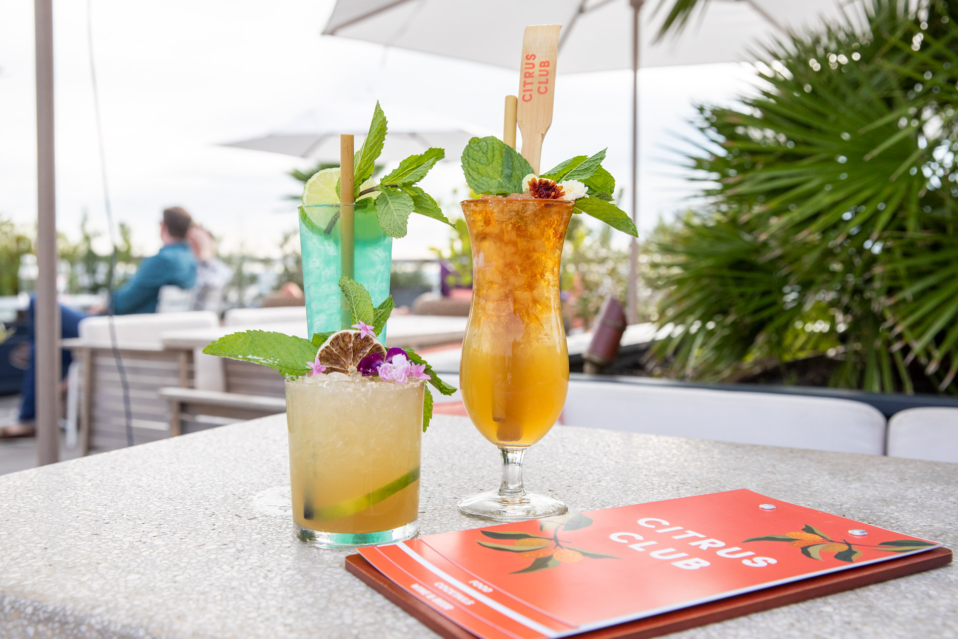 Best Places for Cocktails in Charleston Charleston Guru