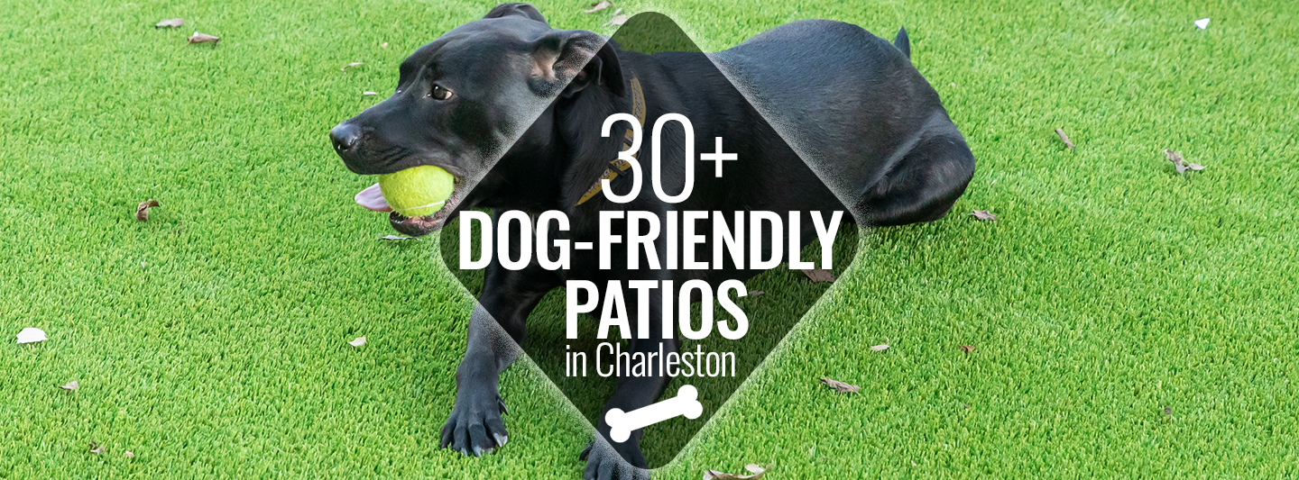 30+ DogFriendly Patios in Charleston Charleston Guru
