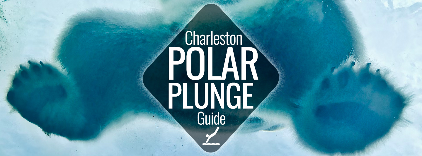 2024 Polar Plunges in Charleston Charleston Guru