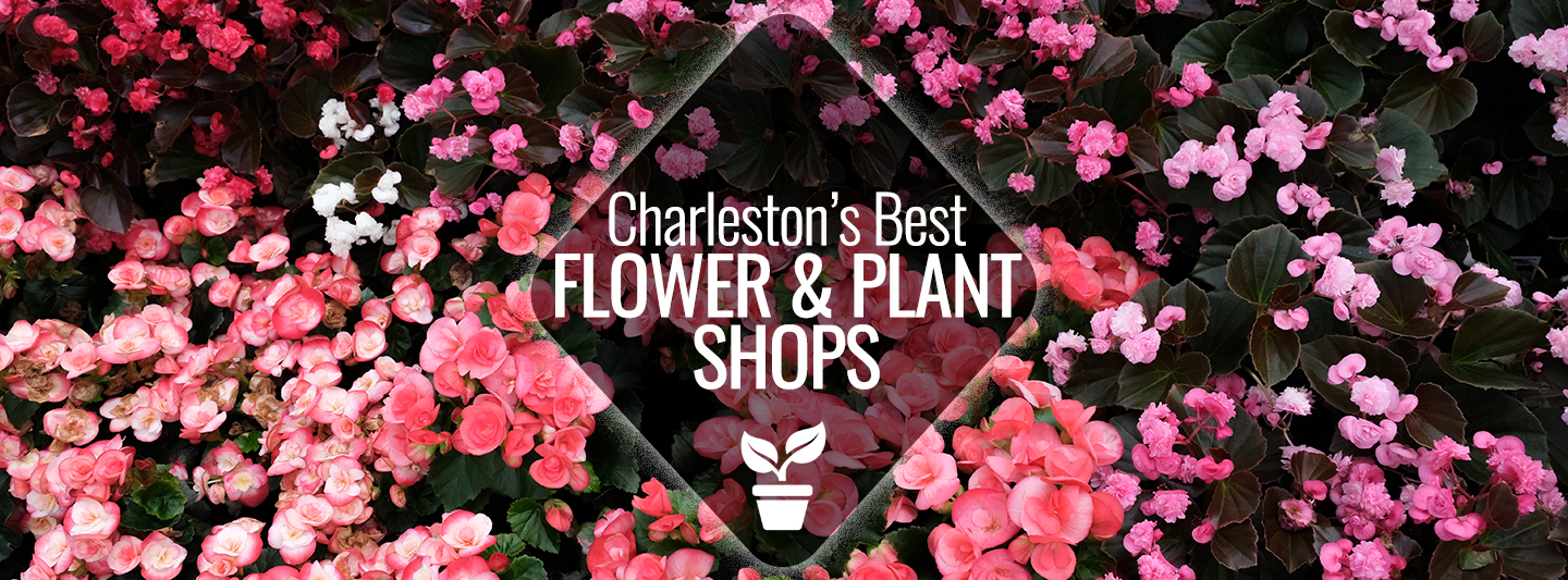 Best Flower and Plant Shops in Charleston Charleston Guru