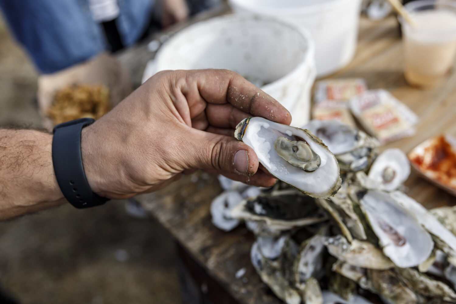 Oyster Roast Charleston Guru